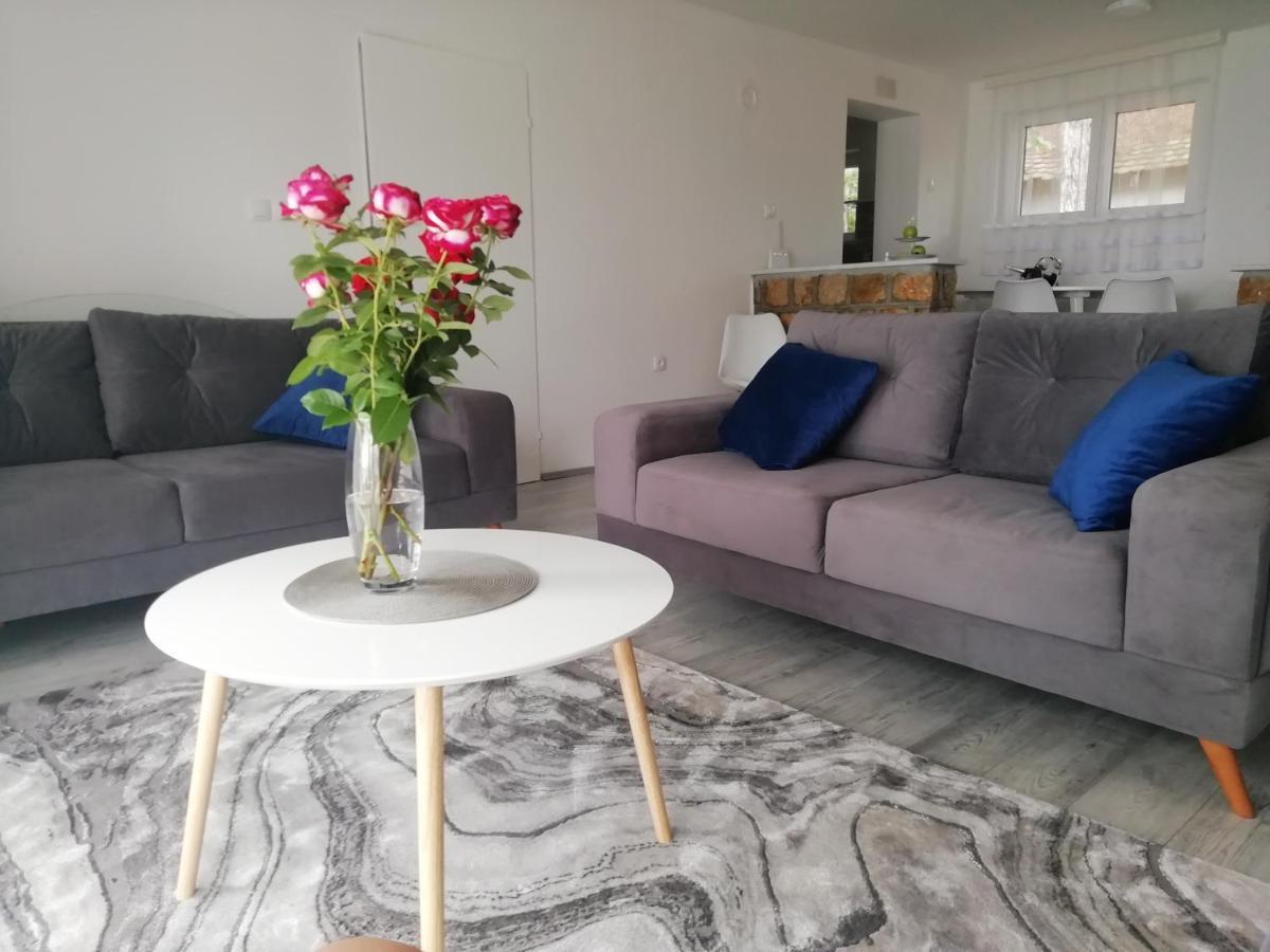 Fenix Apartment & Rooms Vinci Εξωτερικό φωτογραφία