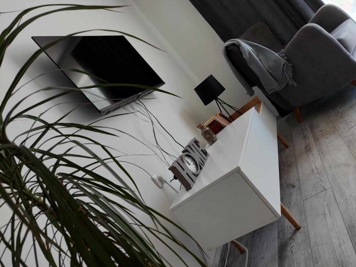 Fenix Apartment & Rooms Vinci Εξωτερικό φωτογραφία
