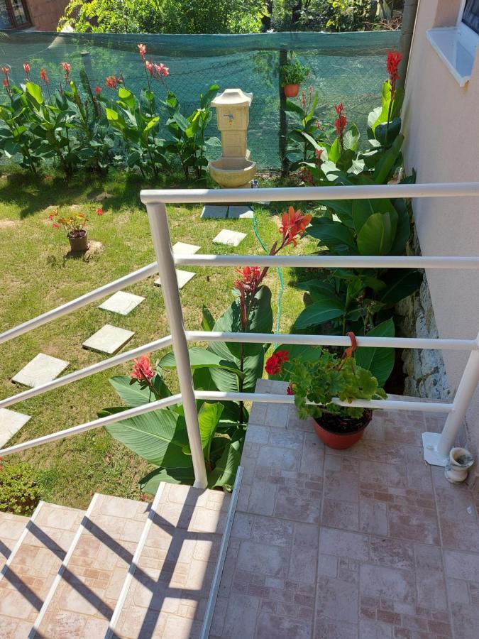 Fenix Apartment & Rooms Vinci Εξωτερικό φωτογραφία