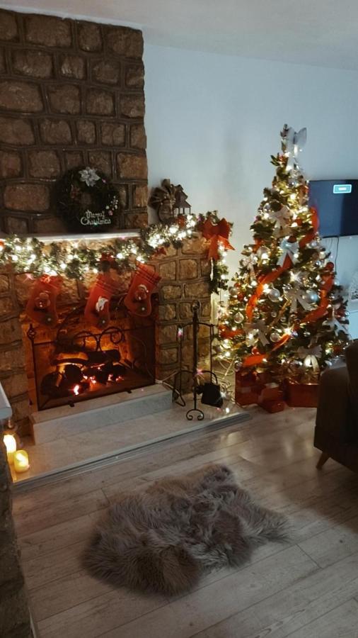 Fenix Apartment & Rooms Vinci Εξωτερικό φωτογραφία